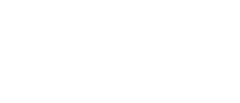 logo-transtur-imperio-bm